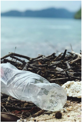 Your Definitive Guide to Plastic Free Month and Sustainable Snacking - Plastic Free 2