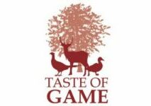 Taste of Game Logo