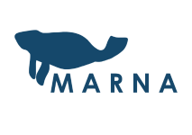 Marna Iced Tea - logo marna iced tea