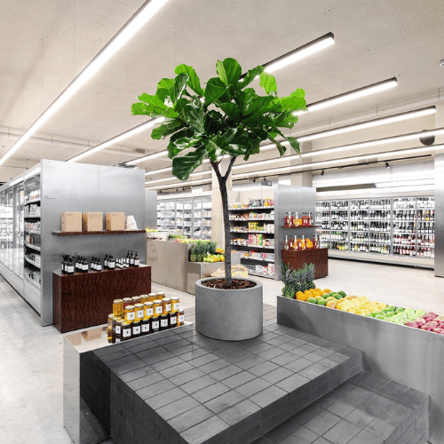 How General Stores Became a Destination for Popular Independent Brands and Healthier Lines
